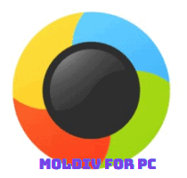 MOLDIV For PC